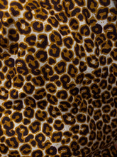 Load image into Gallery viewer, African Print Pants