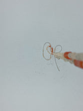 Load image into Gallery viewer, Waist Beads