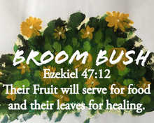 Load image into Gallery viewer, Broom Bush Tea