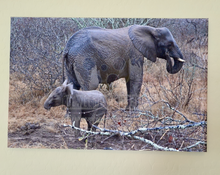 Load image into Gallery viewer, Mom &amp; Baby Elephant in Serengeti
